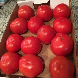 Meet your Posher, Debbie